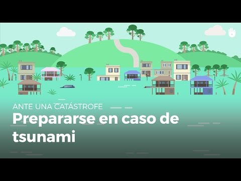 Preparándonos para un posible tsunami: Medidas y prevención